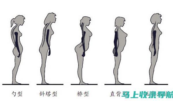 站长职业属性探讨：公务员职务还是管理职位？