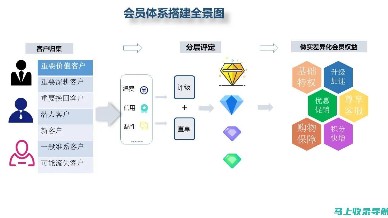 站长等级制度探究：职位定位与职业发展路径分析